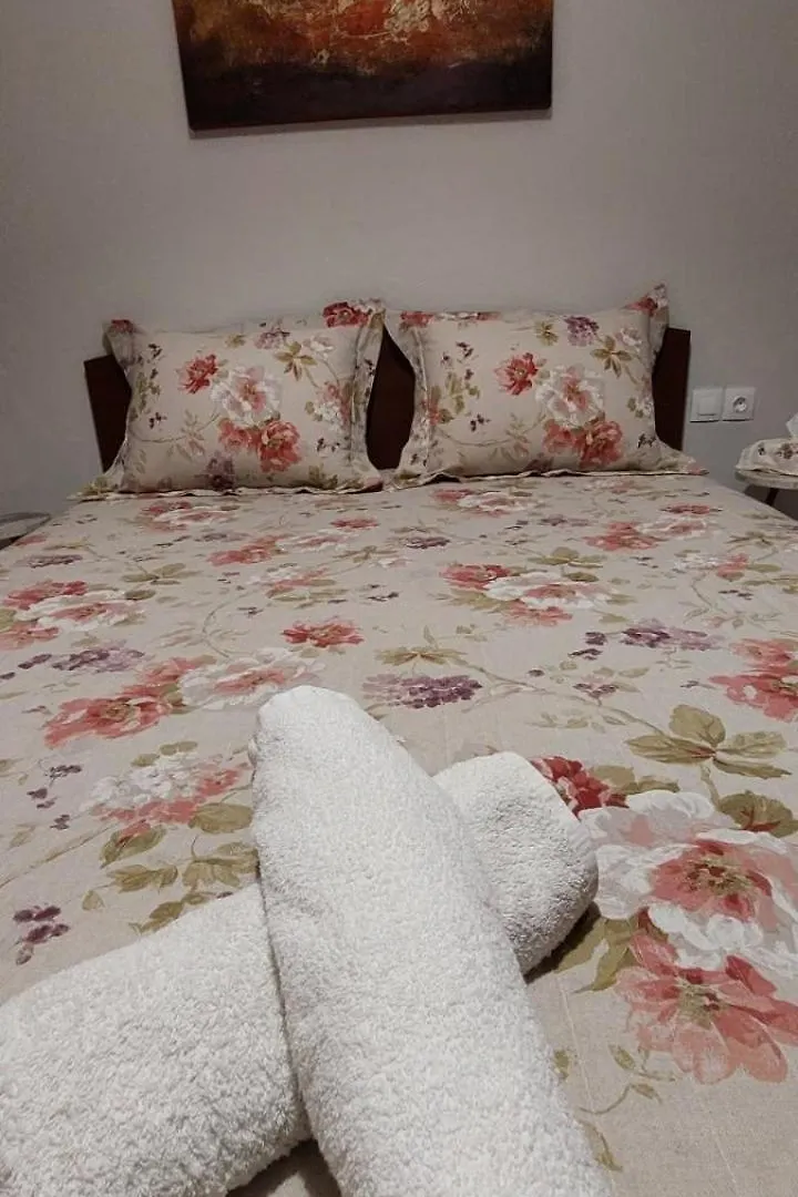 Chrisanthi S House Apartment Nea Michaniona
